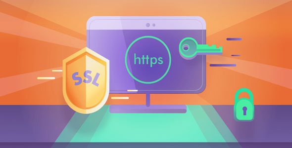 Really Simple SSL Pro v5.1.0 - 网站SSL小绿锁专业版